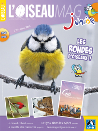 Couverture de l'OISEAU MAG JUNIOR n°17